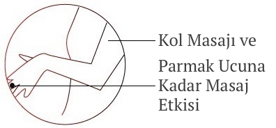 Ogawa Masaj Koltuğu Kol ve El